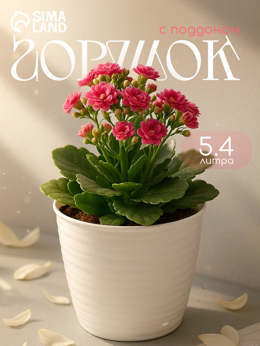 Горшок для цветов с поддоном Saffron 5.4 л d=22.4 см h=20.5 см пластиковый белый