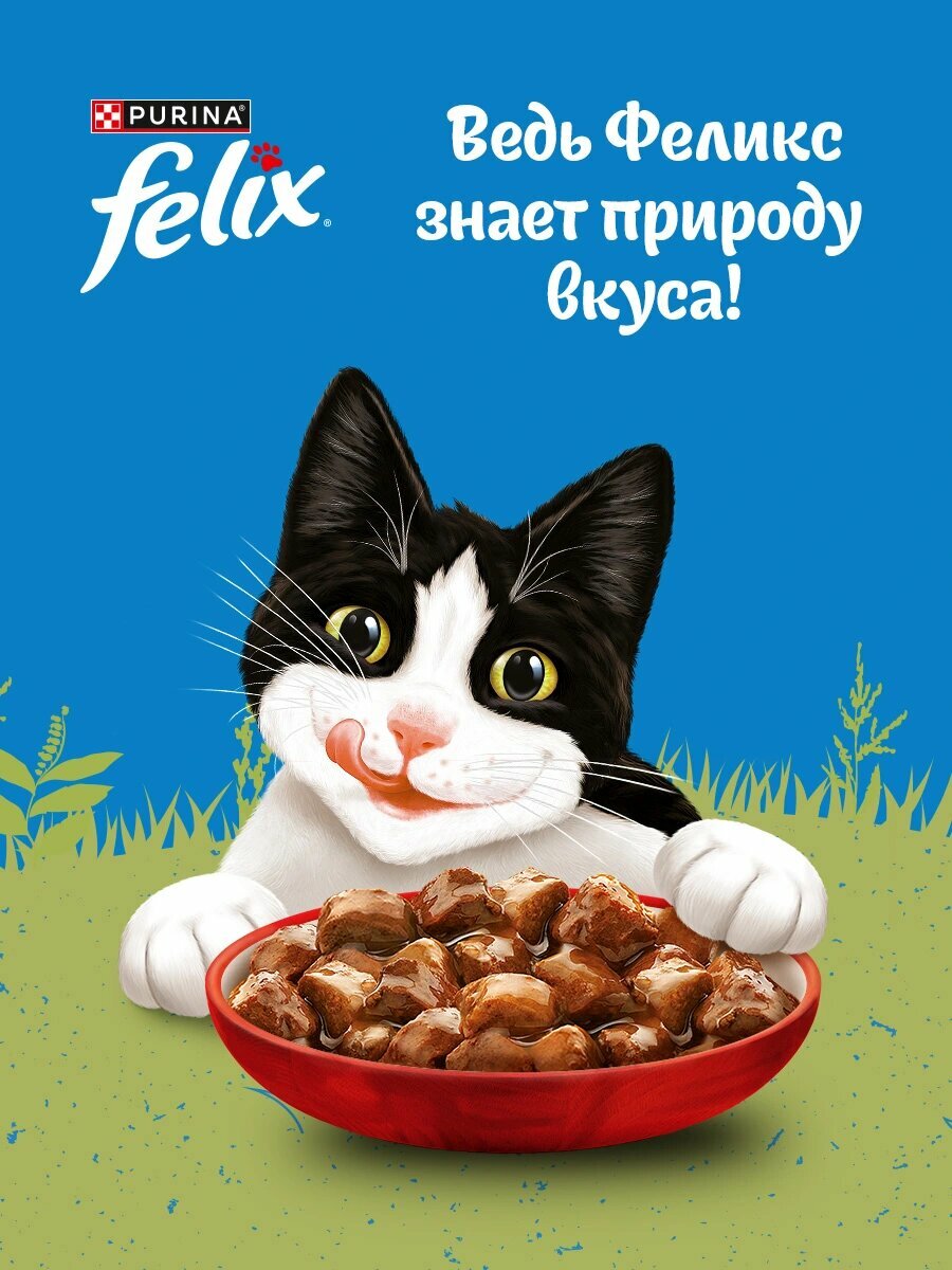 Влажный корм Felix Природа вкуса пауч для кошек (кусочки в соусе) Говядина, 75 г х 26 шт. — фото 1