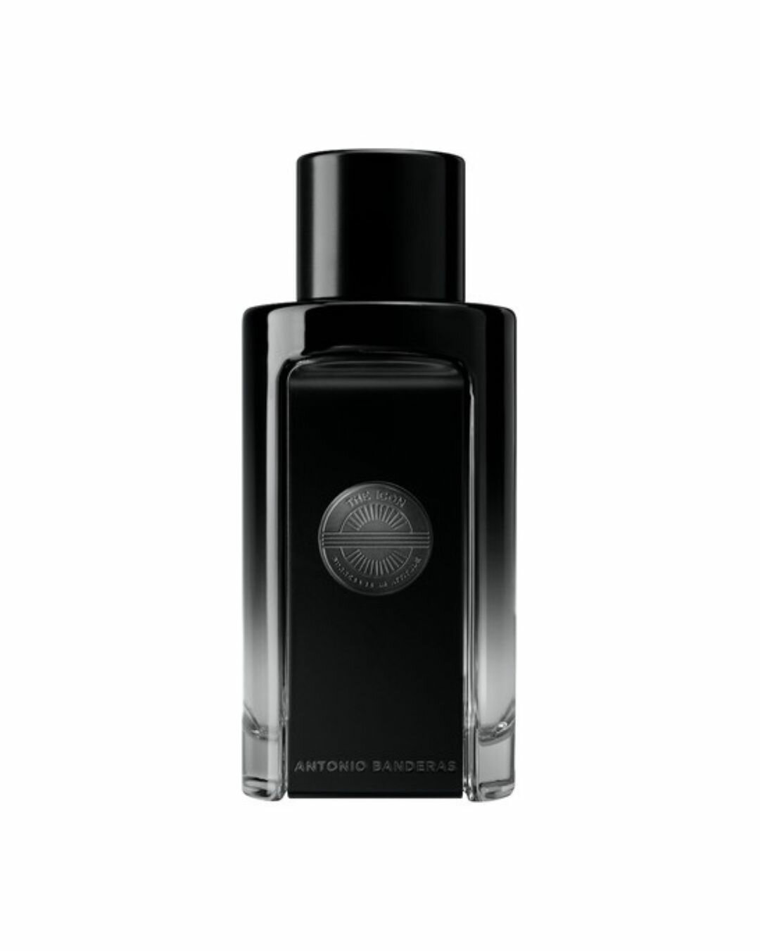 The Icon Antonio Banderas EDP 100мл - Парфюмерная вода для мужчин