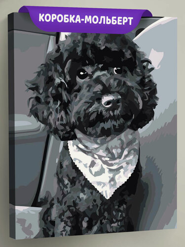 Изображение товара Картина по номерам на холсте с подрамником "Собаки: черный той пудель в машине, чб" Раскраска 40x50, черно-белые щенок