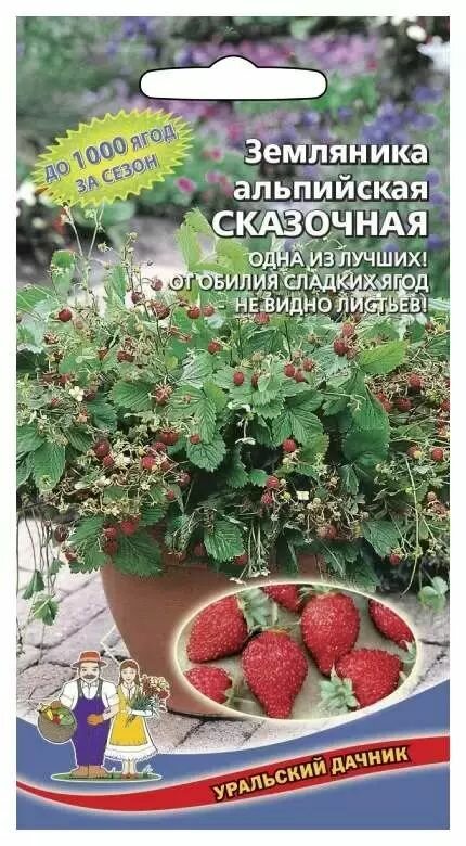 Семена ягод Земляника сорт Сказочная - альпийская