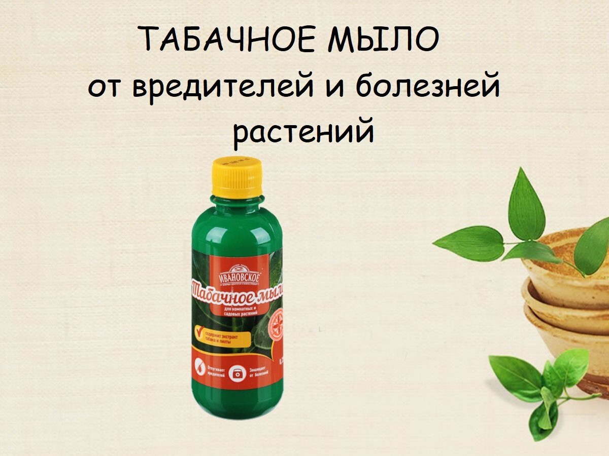 Табачное мыло Зеленое Сечение "Ивановское" отпугивает вредителей, бутылка, 0,25 л - фотография № 13