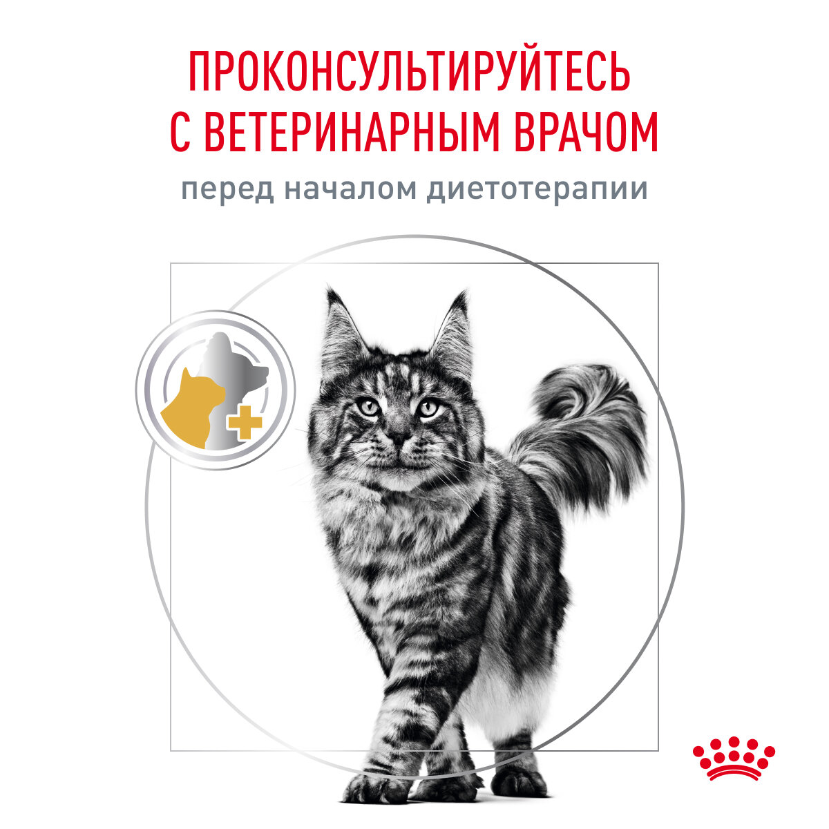 Корм для кошек ROYAL CANIN - фото №9