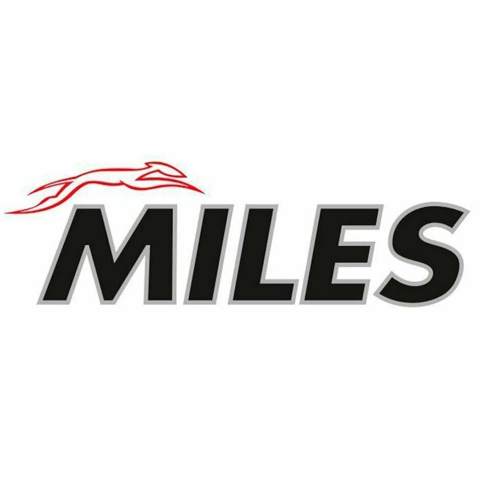 Воздушный фильтр MILES AFAU133