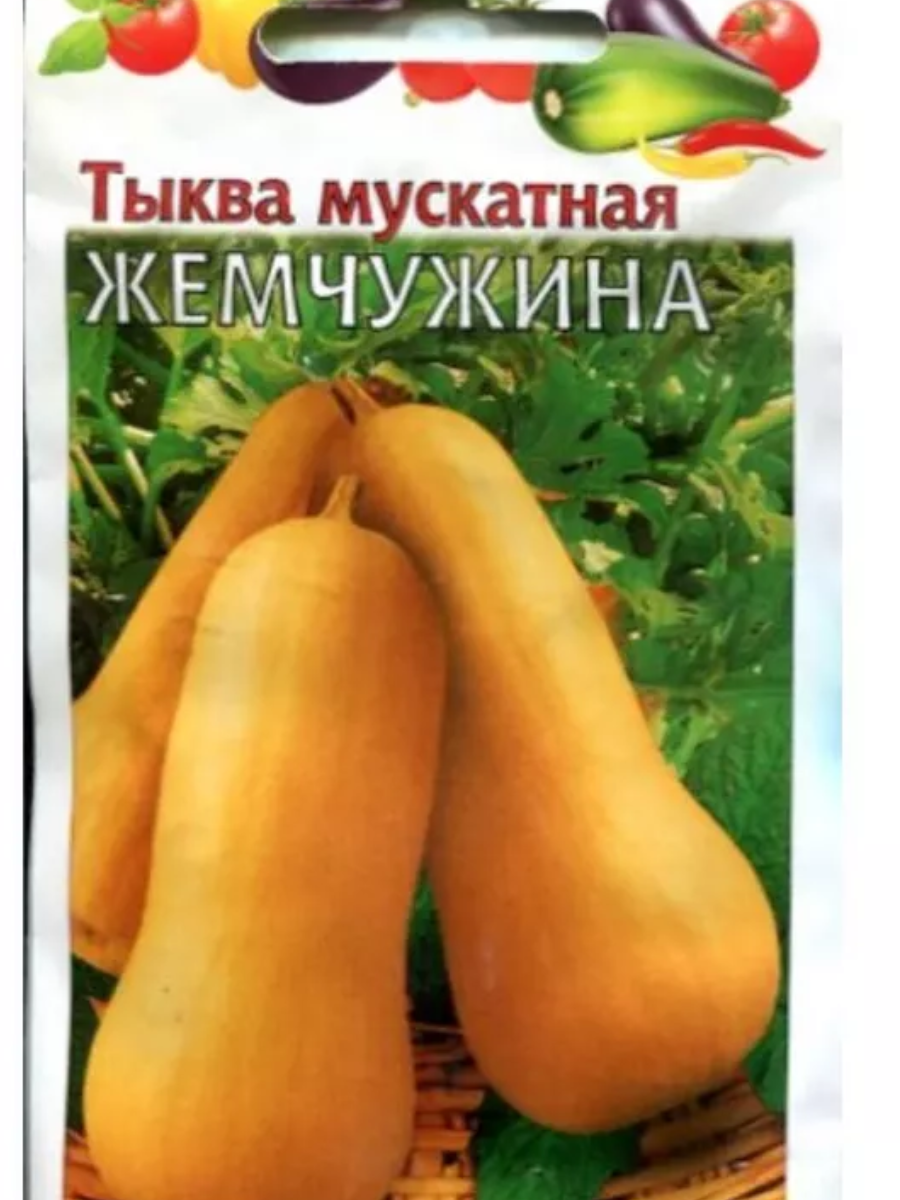 Семена Тыква Жемчужина мускатная 1г (Гавриш) Традиция