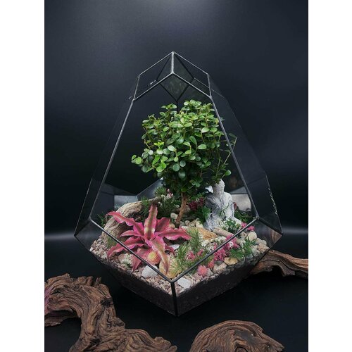 Флорариум с мирсиной африканской от Flolefor 