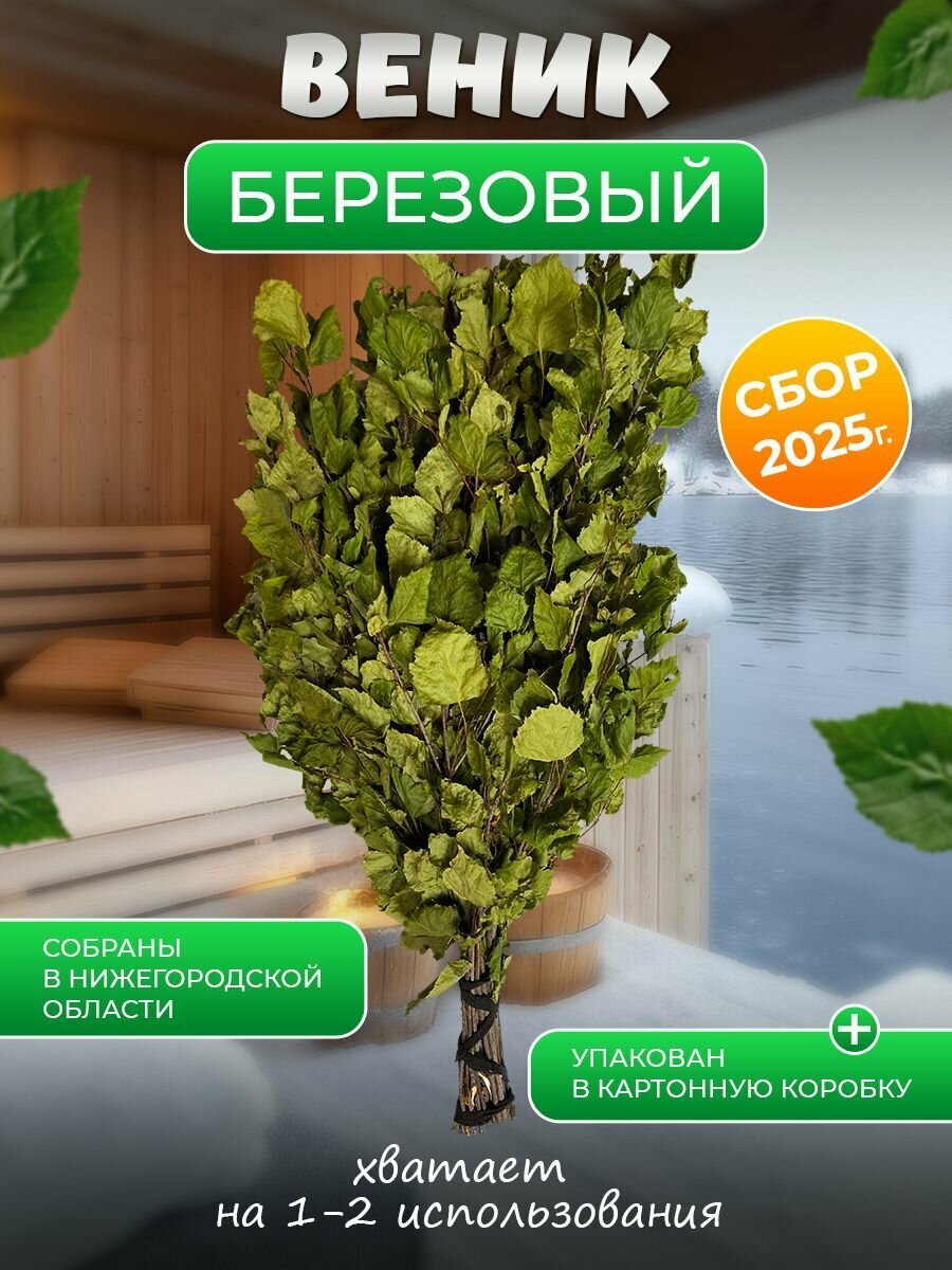 Берёзовый веник для бани и сауны. Правильно высушен и доставляется в надёжной коробке.