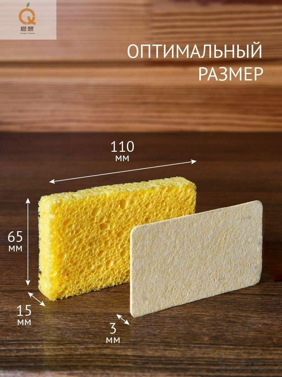 Губка — фото 1
