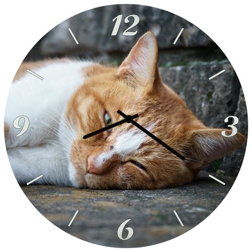 фото Настенные часы svs 3001853