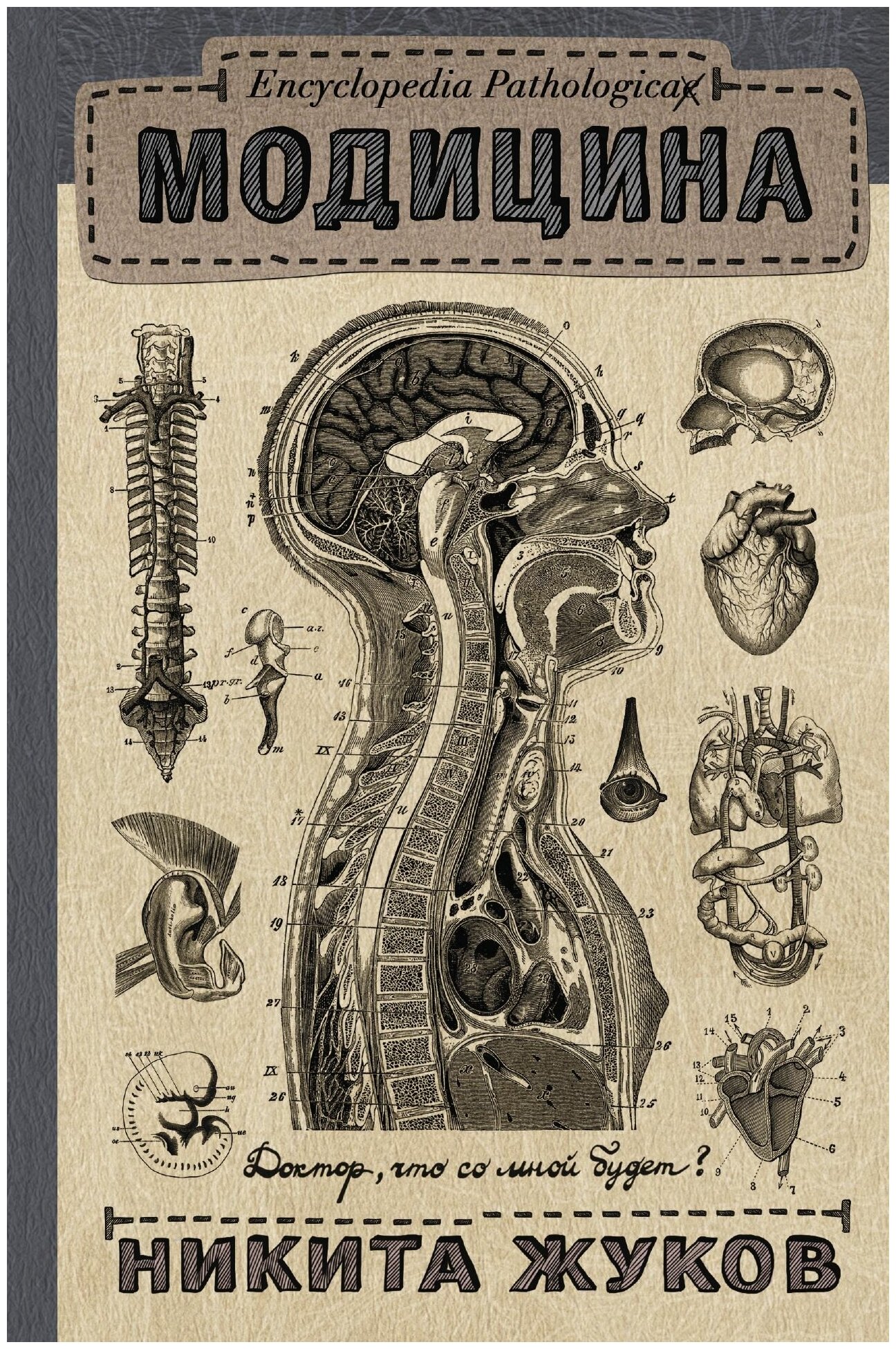 Encyclopedia Pathologica: Модицина - фото №1