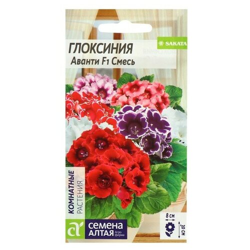 Семена комнатных цветов Глоксиния Аванти Смесь, F1, 8 шт