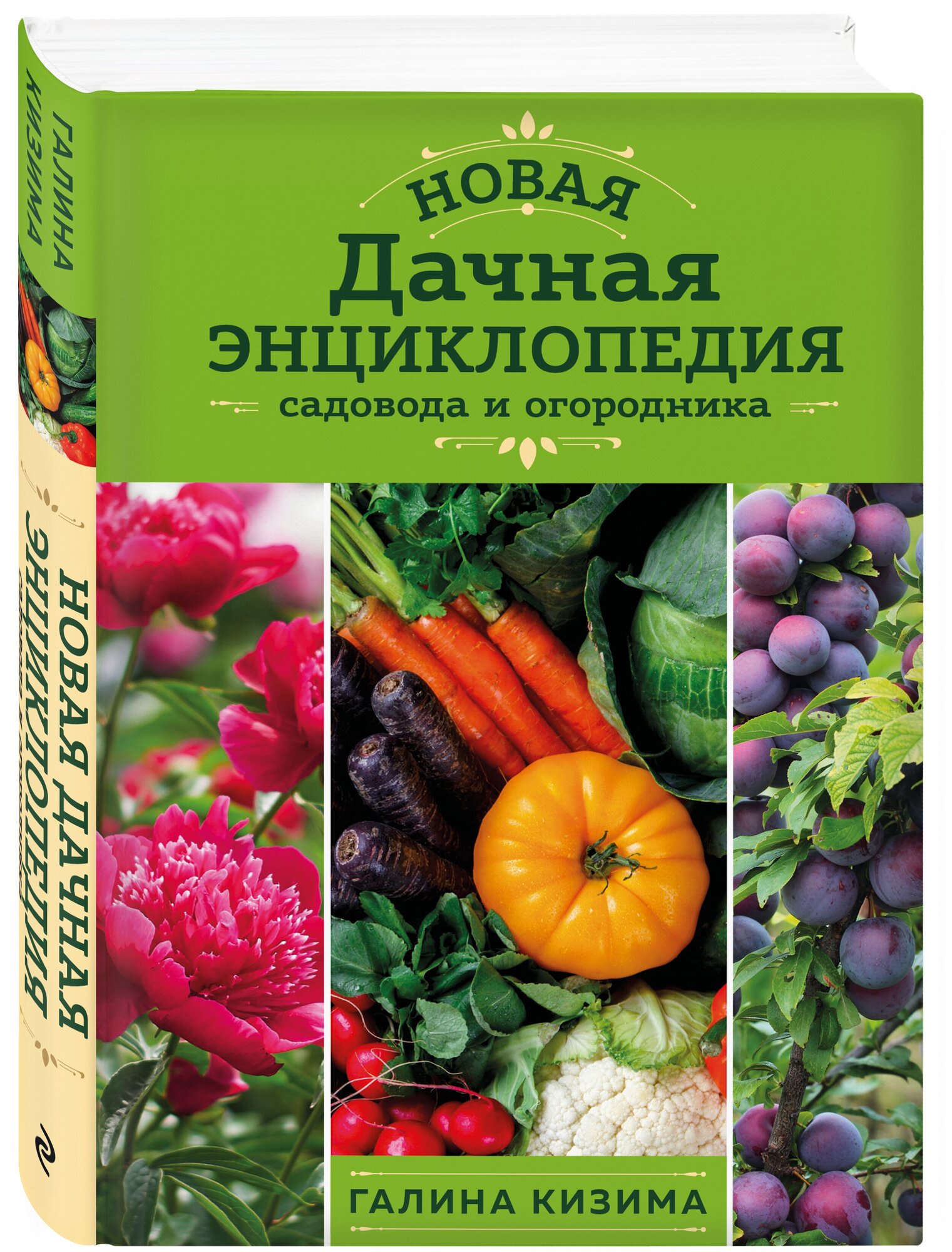 Кизима Г. А. Новая дачная энциклопедия садовода и огородника (новое оформление)