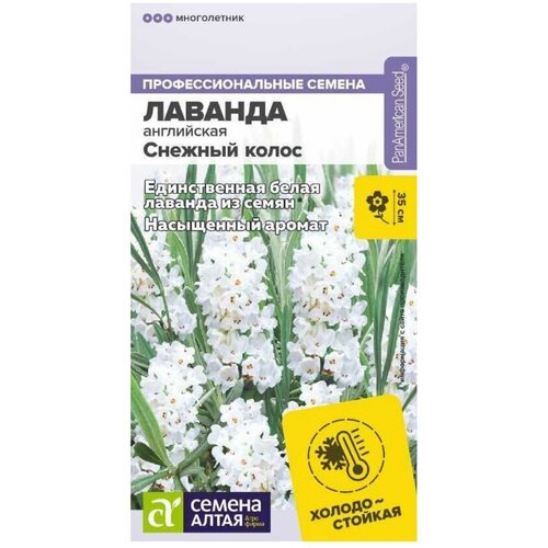 Семена Лаванды английской Снежный колос (5 семян) семена партнер базилик опал