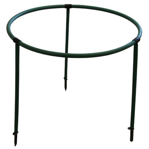 Кустодержатель