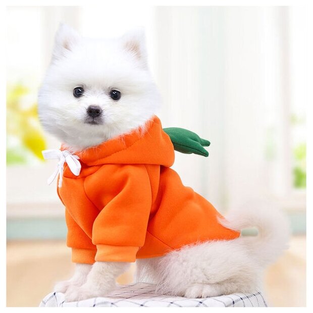 Кофта-толстовка для собаки "Wonderful style-Морковка" с капюшоном, размер L (50*30см) Ultramarine - фотография № 2