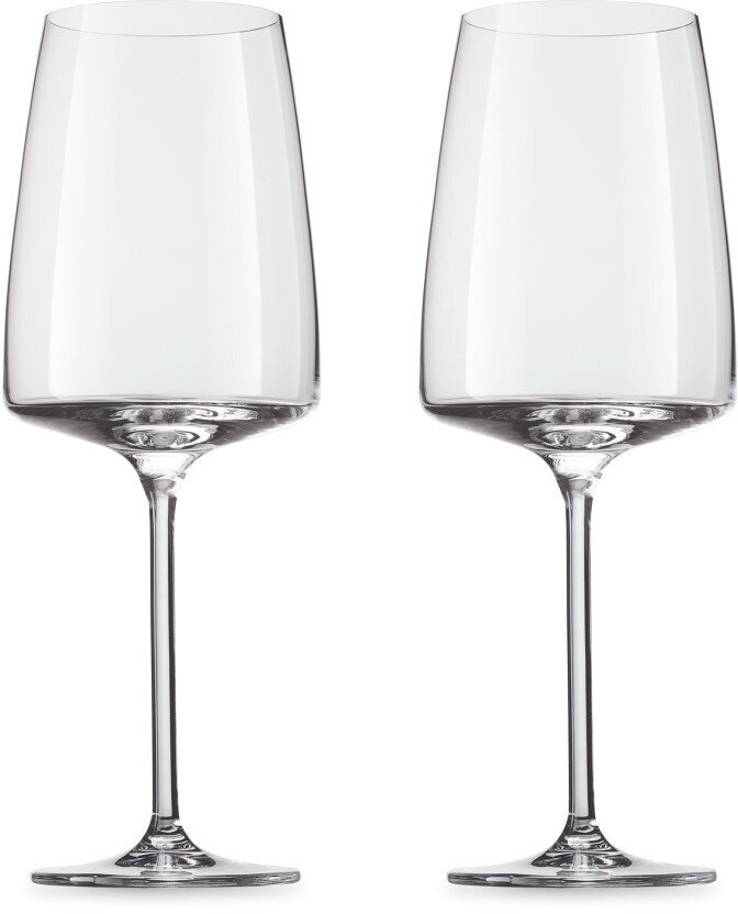 Набор из 2 бокалов для красных вин Fruity & Delicate, объем 535 мл, хрусталь, Zwiesel Glas, Германия, 122427