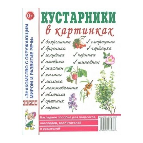 Кустарники в картинках. Наглядное пособие для педагогов, логопедов, воспитателей и родителей