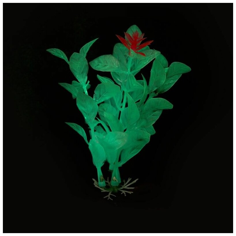 Растение для аквариума светящееся Ротала зеленая, 100мм, пакет Laguna AQUA 74044126 - фотография № 3