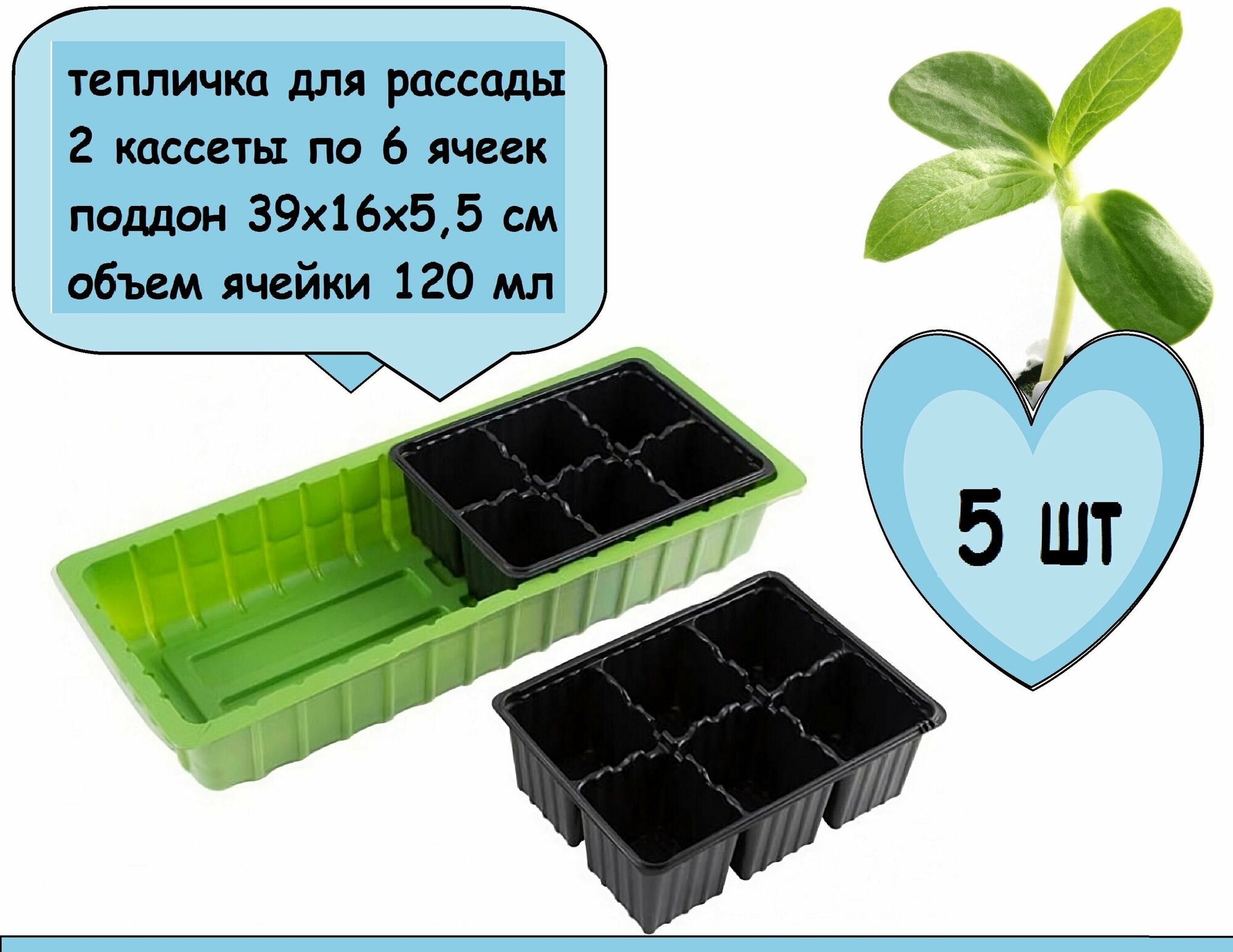 Мини-парник с крышкой 5 штук размером 39х16х5.5 см, 2 кассеты по 6 ячеек, набор для рассады многоразовый, постоянное содержание кактусов и микрозелени