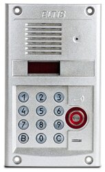 Вызывная (звонковая) панель на дверь ELTIS DP303-RDC24 серебро