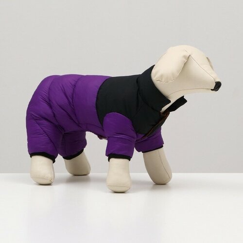 Комбинезон Умка размер 10 ДС 25 см ОГ 34 см ОШ 24 см чёрно-фиолетовый 2020₽