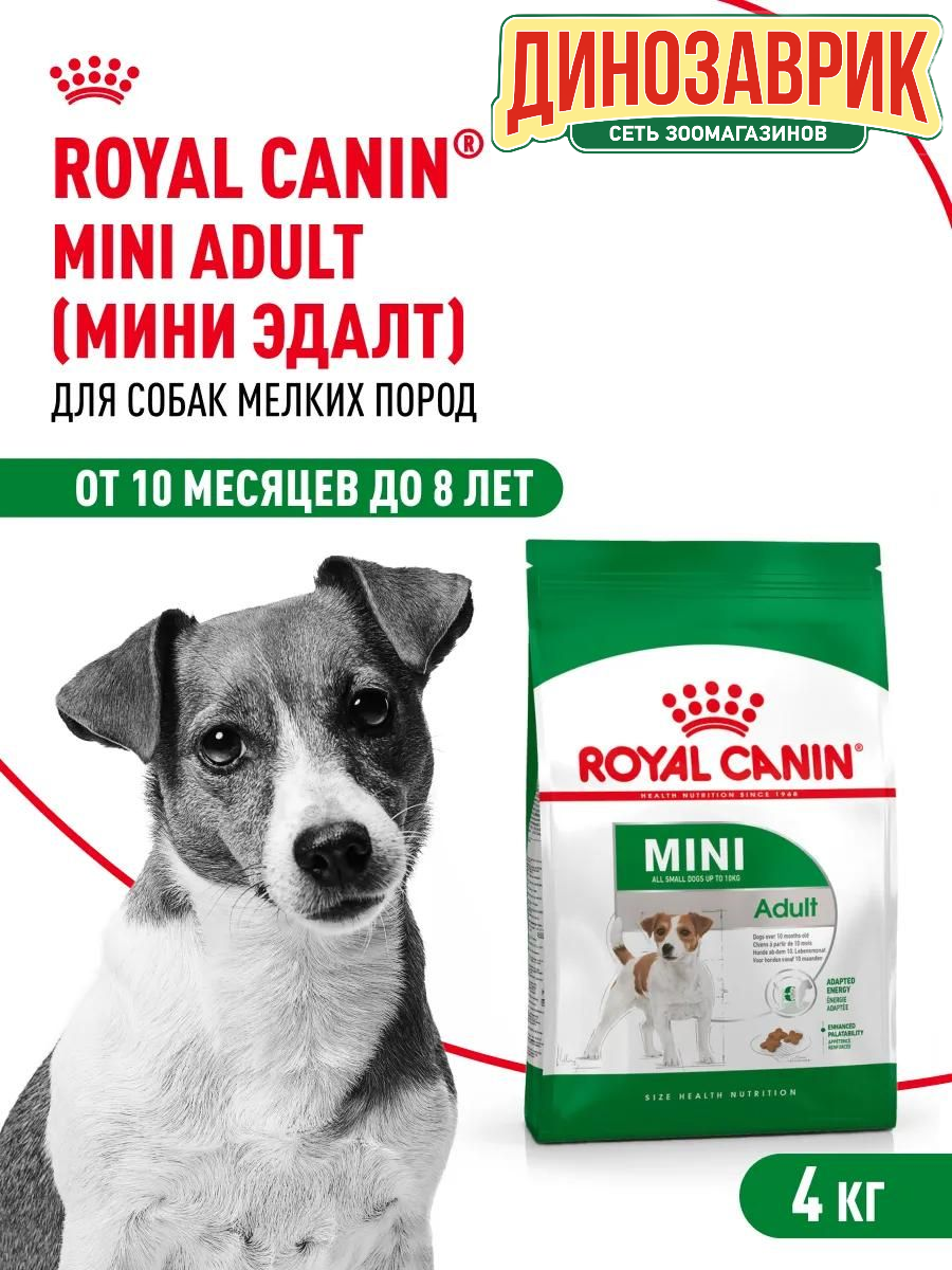 Сухой корм для собак Royal Canin Mini Adult 4 кг (для мелких пород)