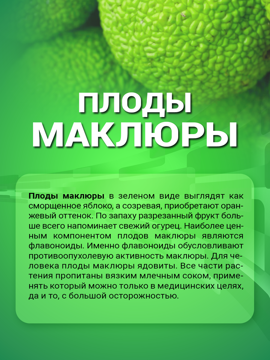 Изображение Настойка Маклюры (адамово яблоко, экстракт из плодов) 100 мл