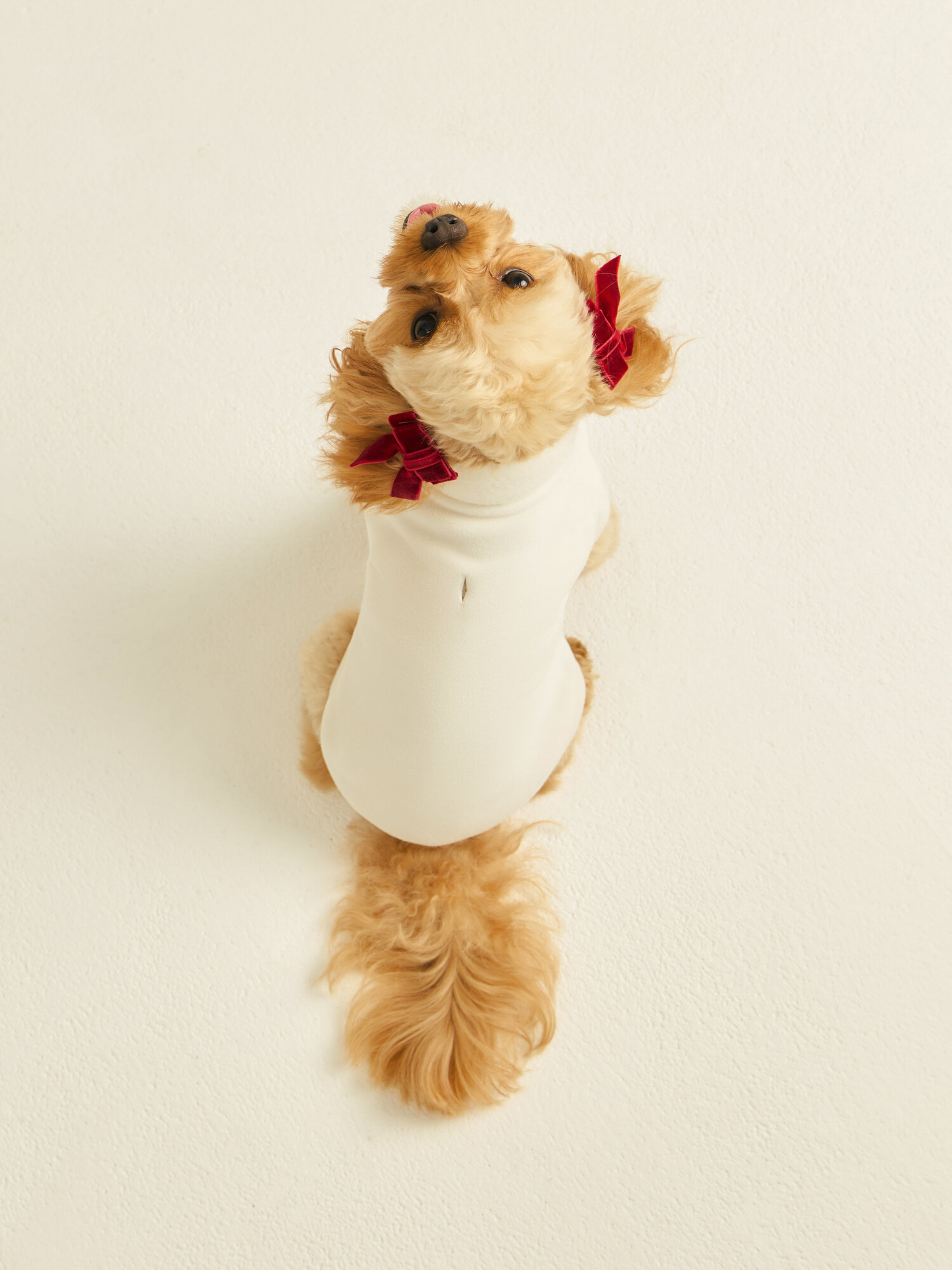 Украшение-бантики на резинках/заколках для животных Zarina цвет Бордовый