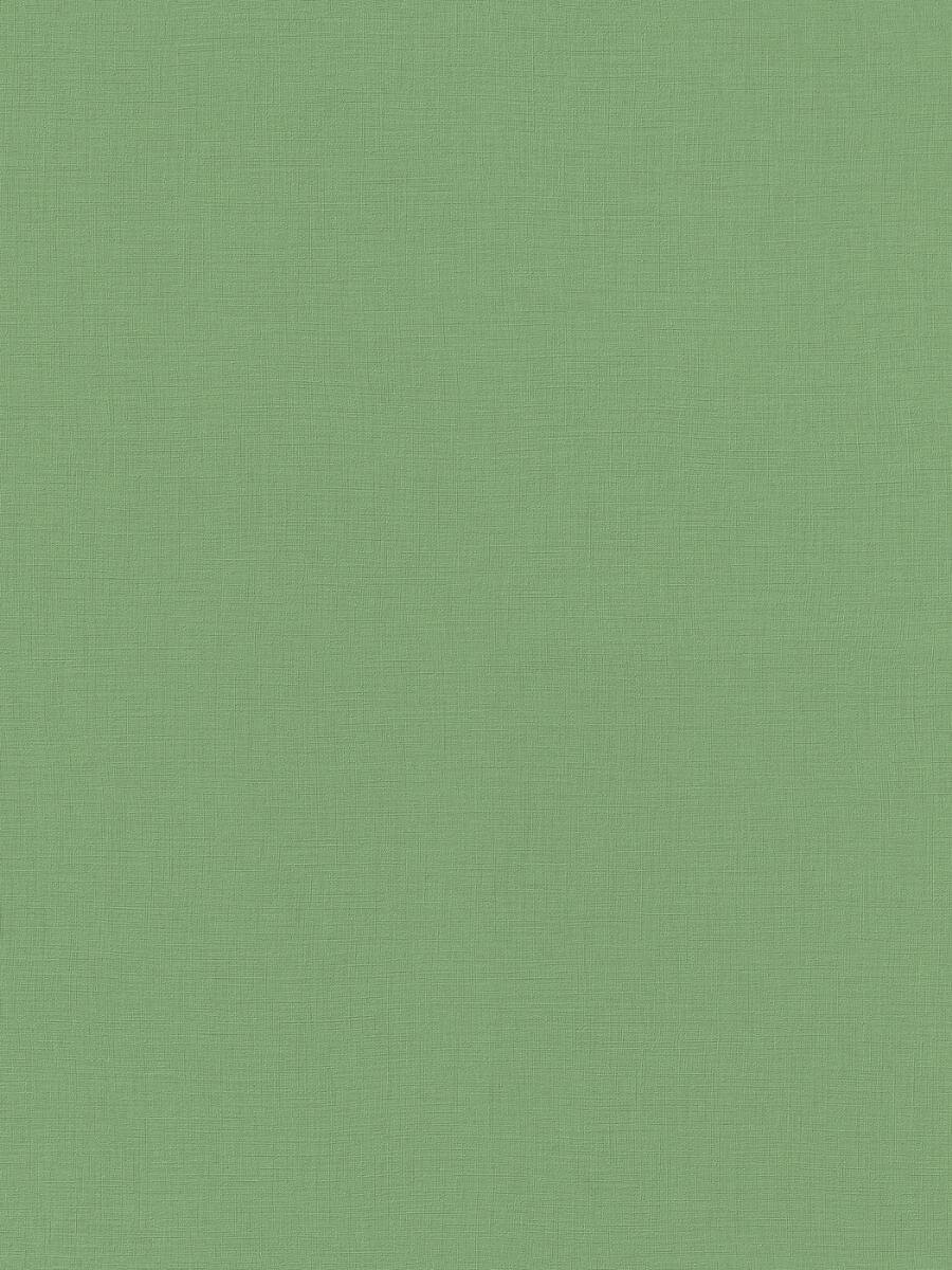 Обои Rasch Natural Colors 0.53 x 10.05 537918 на флизелиновой основе цвет зеленый моющиеся рисунок однотонные