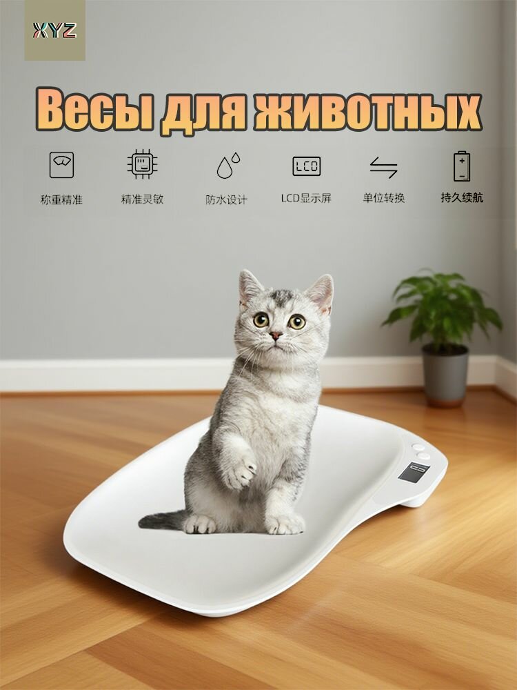 Весы для домашних животных. Электроные весы для кошек собак хомяков рептилий попугаев