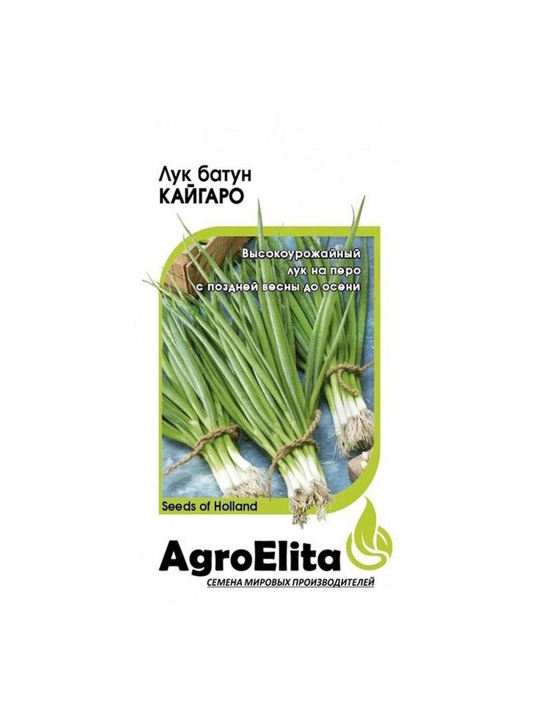 Семена Лук батун Кайгаро среднеспелый AgroElita - Энза Заден 1 пачка - 0.2г семян