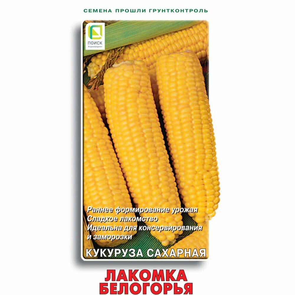 Кукуруза сахарная Лакомка Белогорья