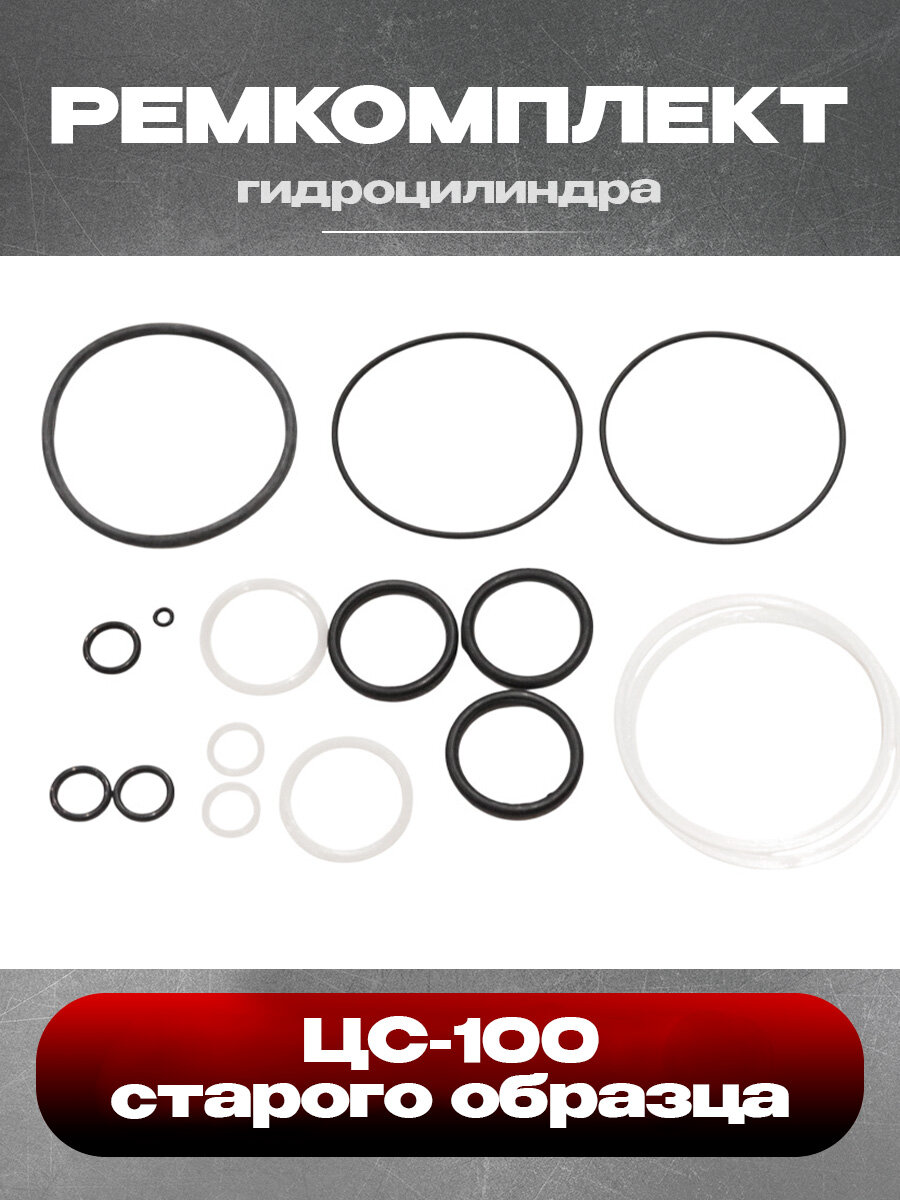 Ремкомплект гидроцилиндра ЦС-100 старого образца (438)