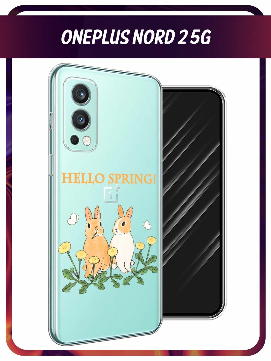 Чехол на OnePlus Nord 2 / ВанПлас Норд 2 с принтом "Весенние кролики", прозрачный