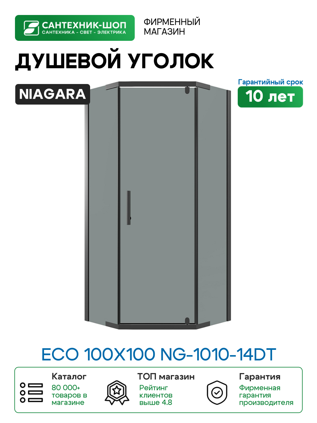 Душевой уголок Niagara Eco 100х100 NG-1010-14DT профиль цвет Черный матовый стекло тонированное