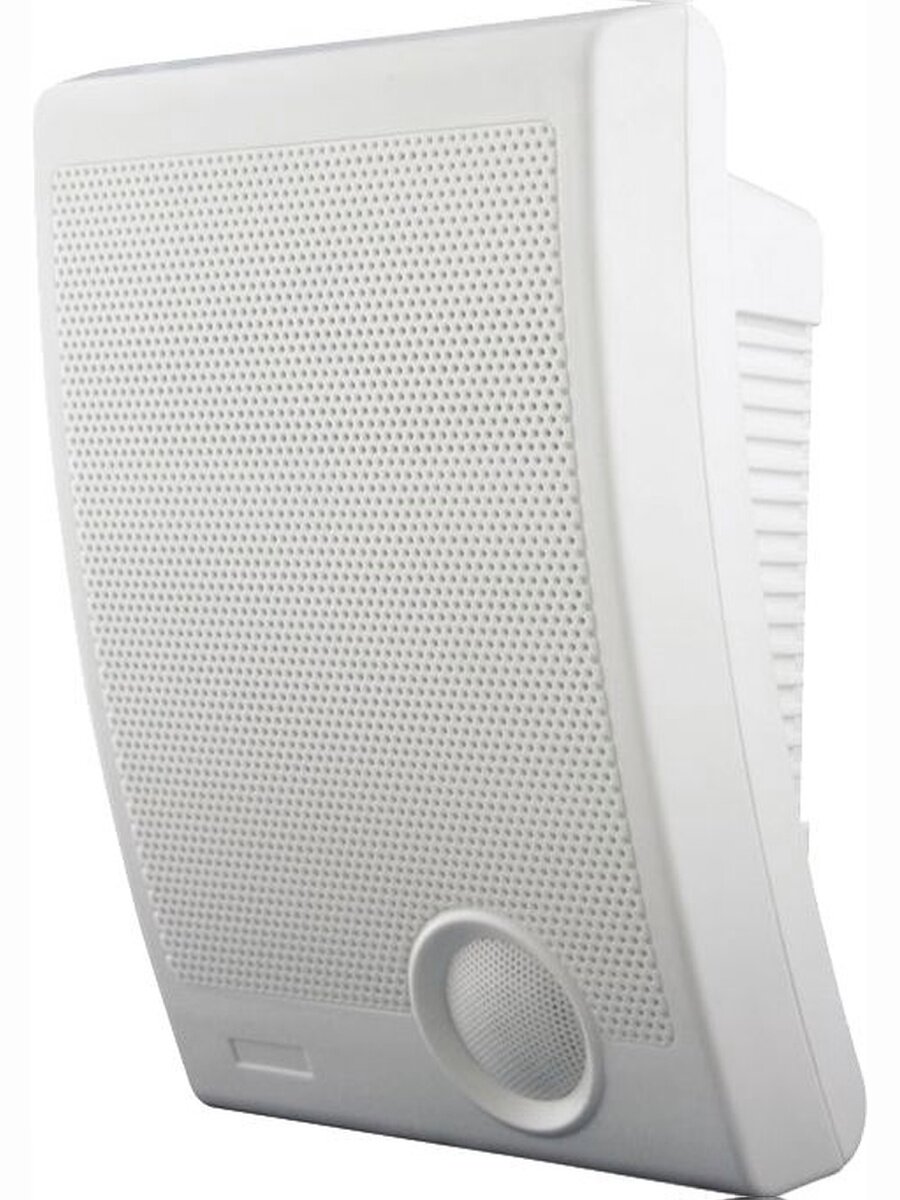 Громкоговоритель TSo-SW10a