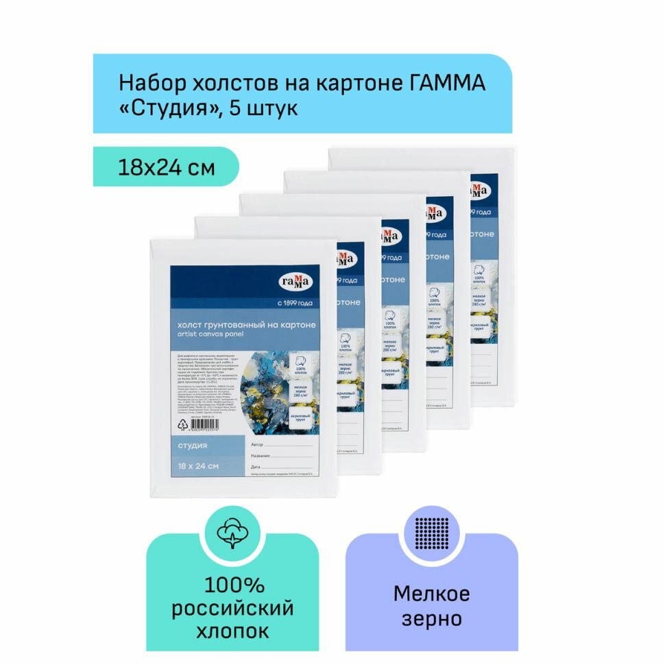 Набор холстов на картоне Студия, 18х24 см, 5 штук ГАММА - фото №19