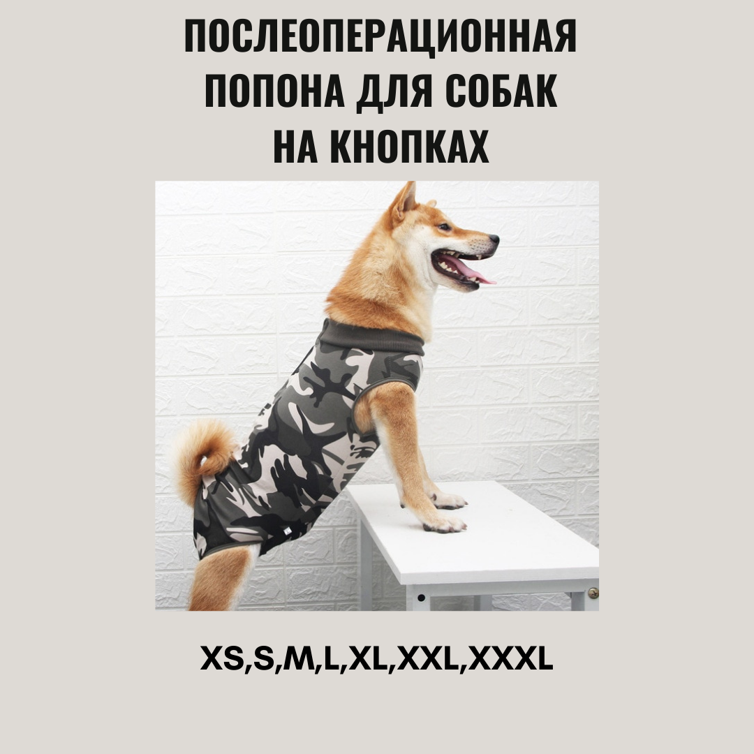 Попона для собак послеоперационная BodyCare р-р XS цвет серый