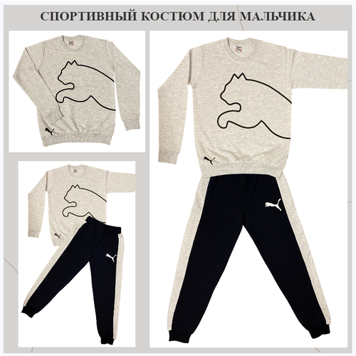 Комплект одежды , лонгслив и брюки, спортивный стиль, размер 9, серый