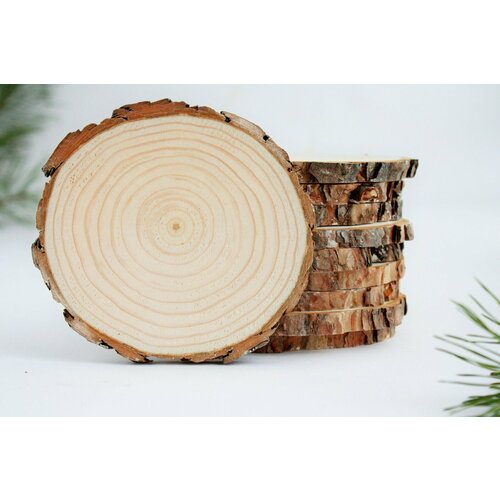 Сосновый спил 1шт ширина 30 см толщина 9 -10 свежий не обработан спил дерева осина диаметр 13 см