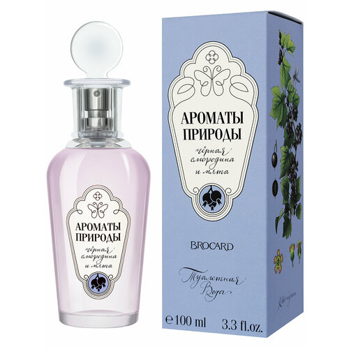 Ароматы Природы Чёрная Смородина и Мята жен. т. в. 100 мл