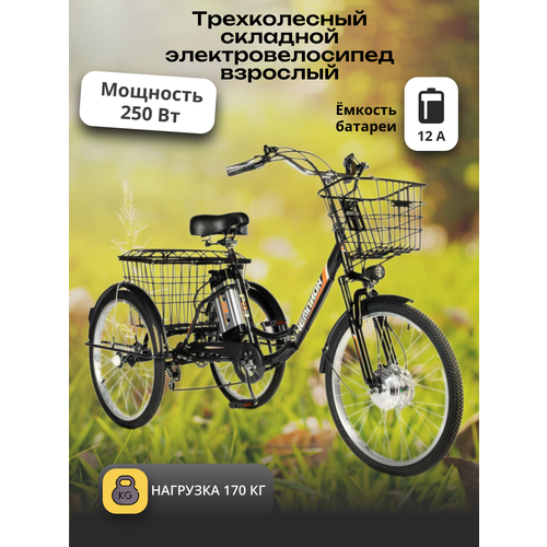 Электровелосипед трехколесный для взрослых РВЗ Чемпион СКЛАДНОЙ черный 25012 95141₽