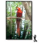 Тепловая панель MIZ 550W parrot - изображение