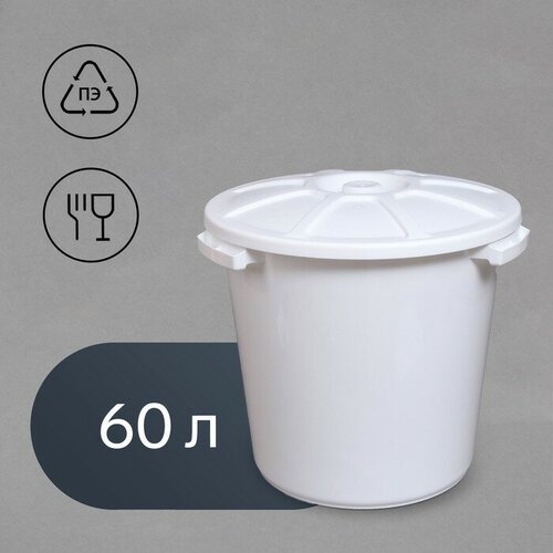 Бак пищевой 60 л с крышкой микс 3750₽