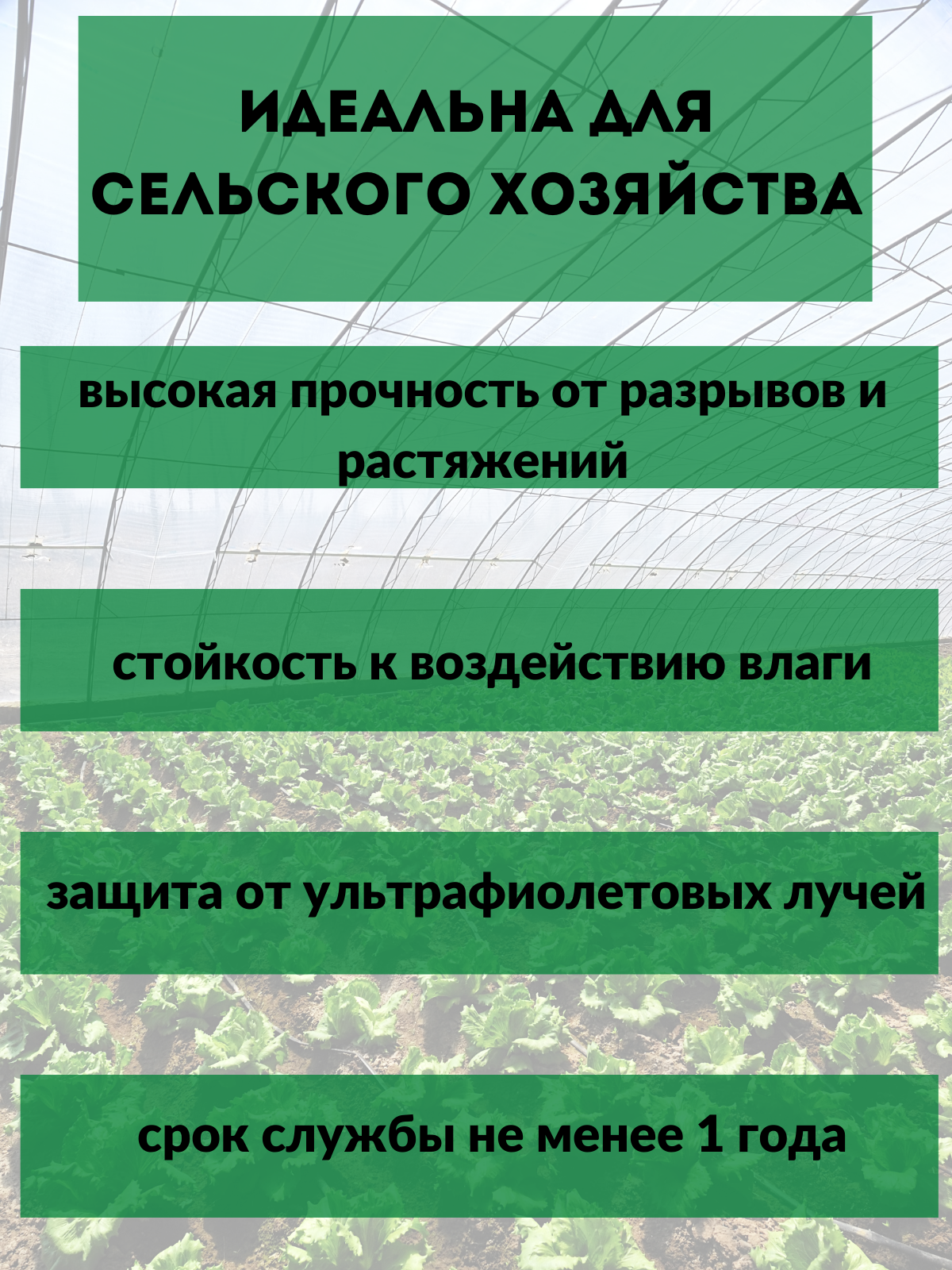 Армированная пленка 2х50м, универсальная для укрытия теплиц, парников и растений, плотность 55гр/м2 - фотография № 6