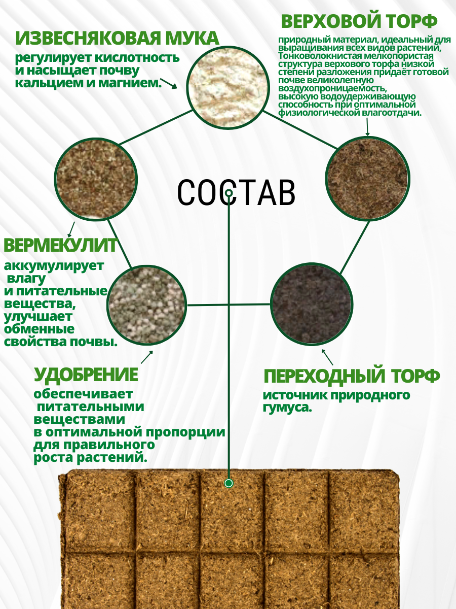 БиоМастер Почвобрикет Бегония 2,5 л, круглый БиоМастер - фотография № 2