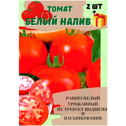 Томат Белый налив 241 скороспелый 2шт набор семена томатов альфонс f1 для теплицы и открытого грунта 2 шт