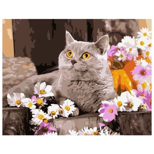 Картина по номерам Серый котик 40х50 см картина по номерам котёнок в шапке холст на подрамнике 40х50 см набор для творчества рисование 40х50 см живопись тт с кошкой
