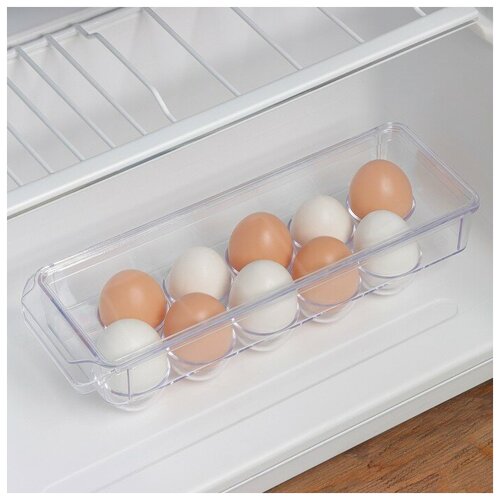 IDEA Контейнер для яиц, на 10 шт, 30×10×7,5 см, цвет прозрачный