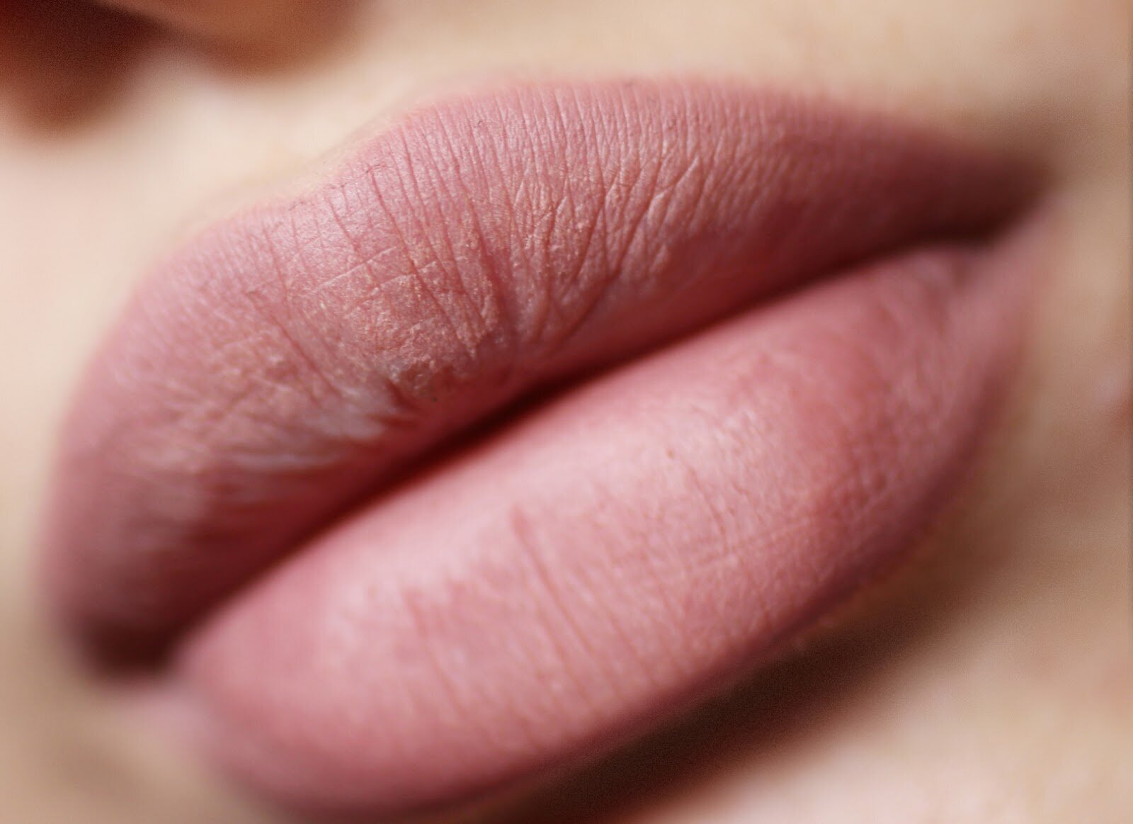 Карандаш для губ Pupa True Lips 004 1,2 г